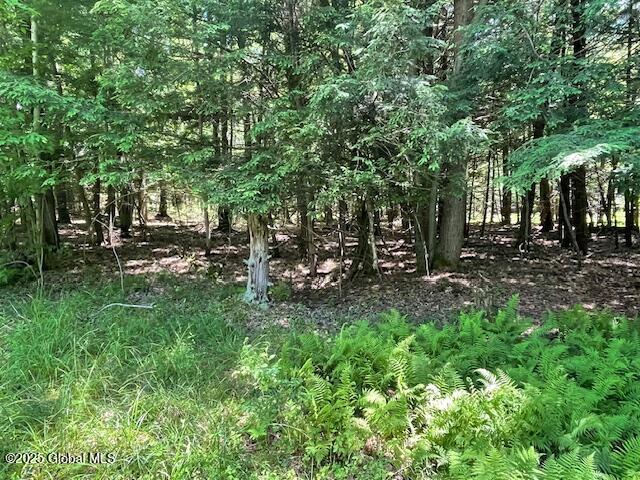 204 Bauer Rd, Sand Lake, NY 12018 - photo 2
