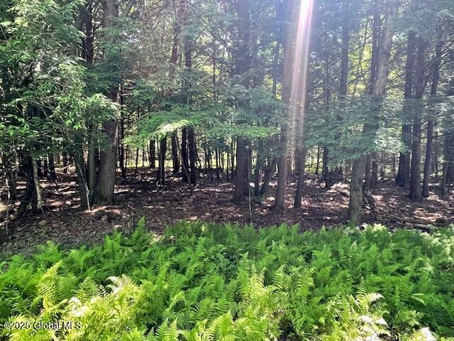 204 Bauer Rd, Sand Lake, NY 12018 - photo 3