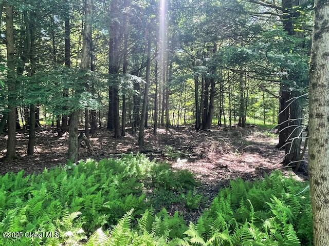 204 Bauer Rd, Sand Lake, NY 12018 - photo 5