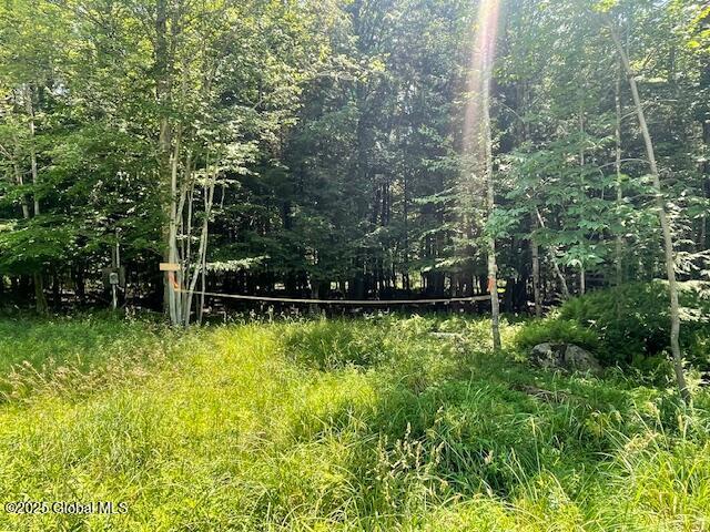 204 Bauer Rd, Sand Lake, NY 12018 - photo 6