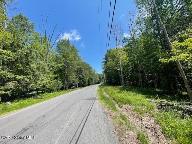 204 Bauer Rd, Sand Lake, NY 12018 - photo 7