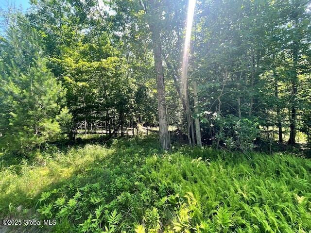 204 Bauer Rd, Sand Lake, NY 12018 - photo 8