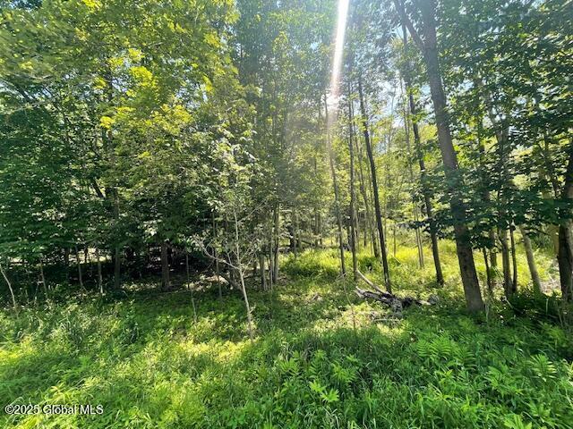 204 Bauer Rd, Sand Lake, NY 12018 - photo 9