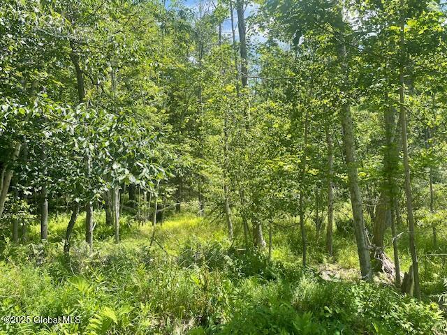 204 Bauer Rd, Sand Lake, NY 12018 - photo 10
