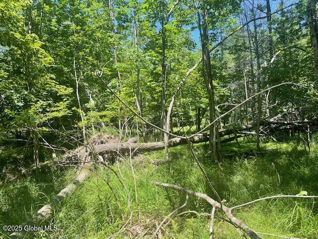 204 Bauer Rd, Sand Lake, NY 12018 - photo 11