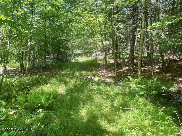 204 Bauer Rd, Sand Lake, NY 12018 - photo 12