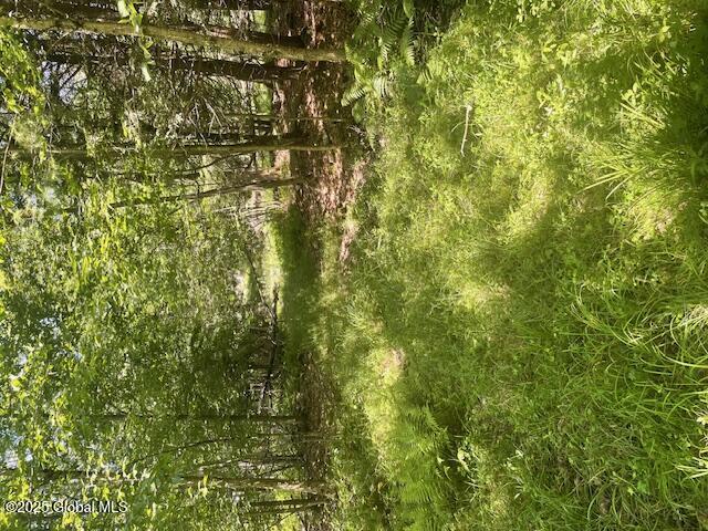 204 Bauer Rd, Sand Lake, NY 12018 - photo 13
