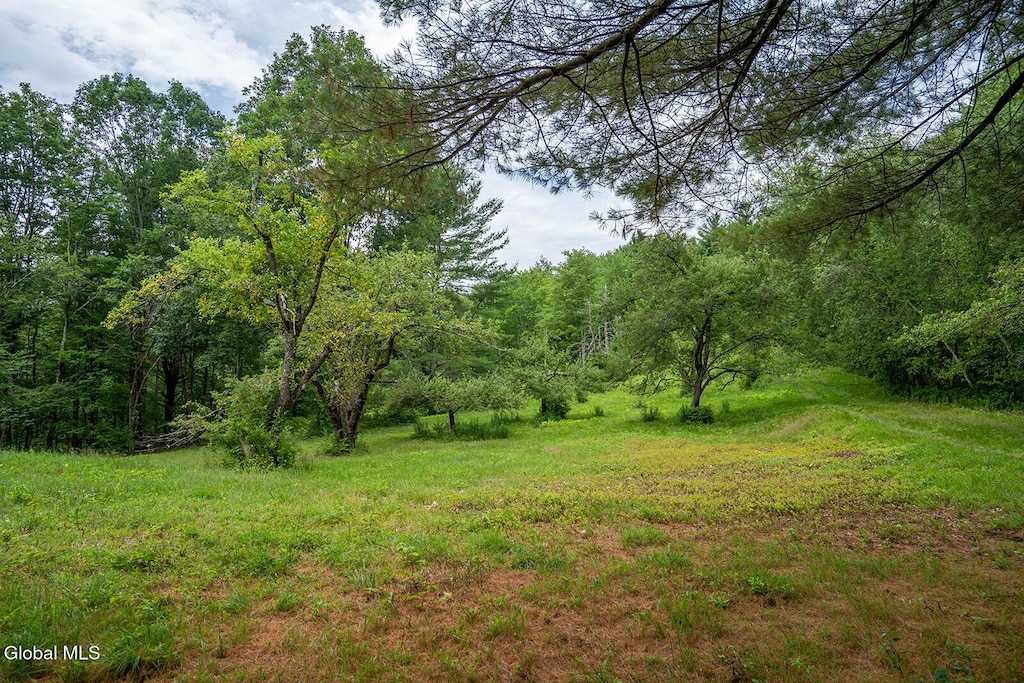 237 Bates Rd, White Creek, NY 12816 - photo 1