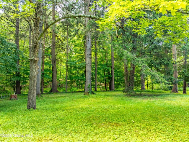 3063 Ny Highway 43, Sand Lake, NY 12018 - view of green lawn with a wooded view