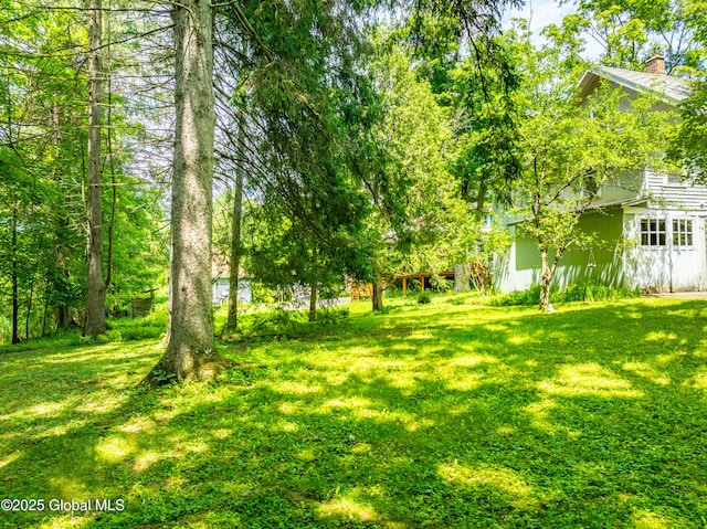 3063 Ny Highway 43, Sand Lake, NY 12018 - view of green lawn