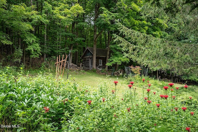 203 Center Rd, White Creek, NY 12057 - view of yard with an outdoor structure and a wooded view