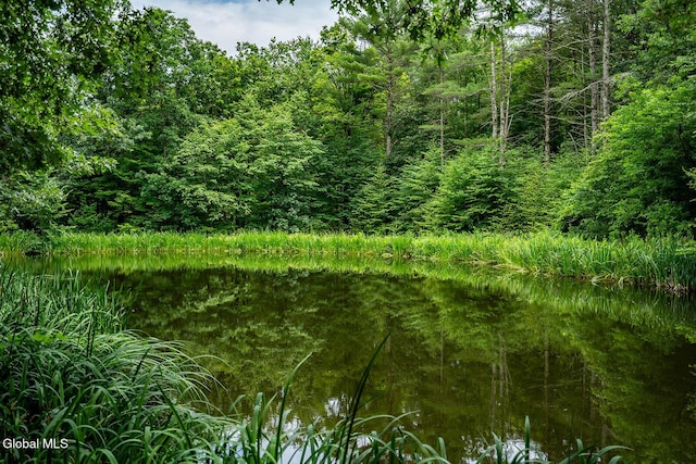 203 Center Rd, White Creek, NY 12057 - view of woods featuring a water view