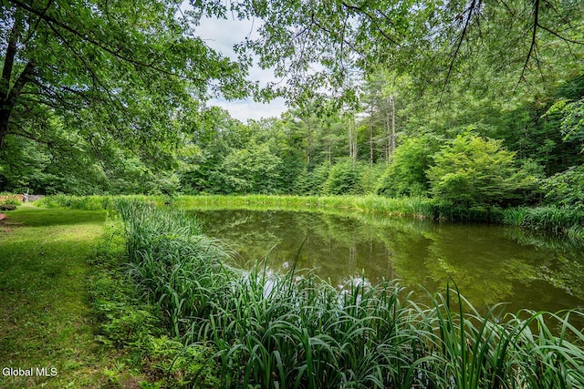 203 Center Rd, White Creek, NY 12057 - water view with a forest