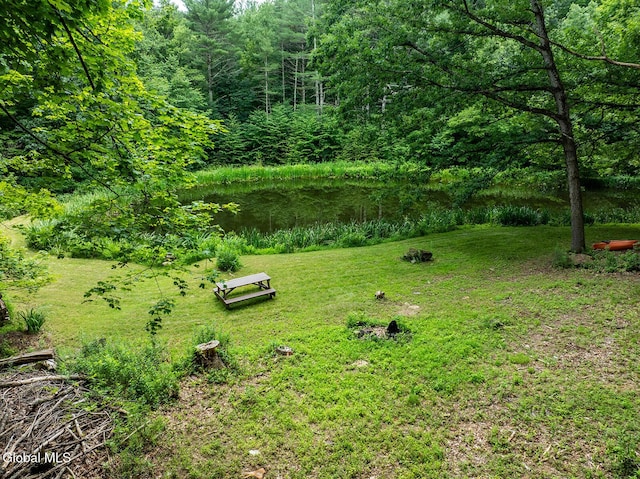 203 Center Rd, White Creek, NY 12057 - view of green lawn featuring a wooded view
