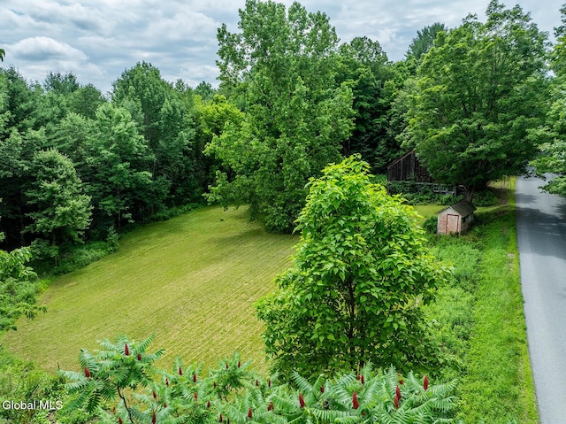 203 Center Rd, White Creek, NY 12057 - view of green lawn