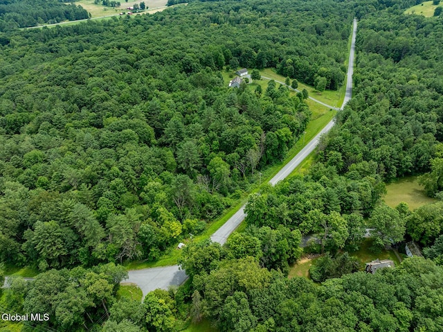203 Center Rd, White Creek, NY 12057 - aerial overview of property's location featuring a forest