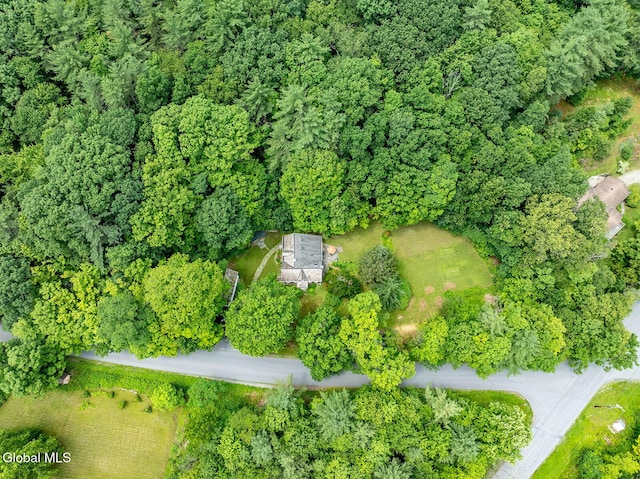 203 Center Rd, White Creek, NY 12057 - drone / aerial view