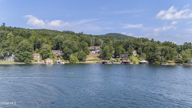 55 Trinity Rock Rd, Lake George, NY 12845 - water view with a heavily wooded area