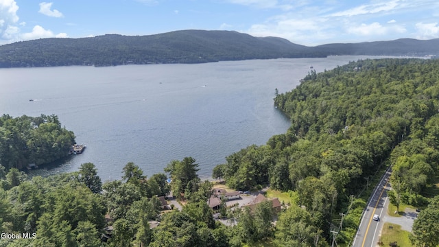 55 Trinity Rock Rd, Lake George, NY 12845 - water view with a mountainous background