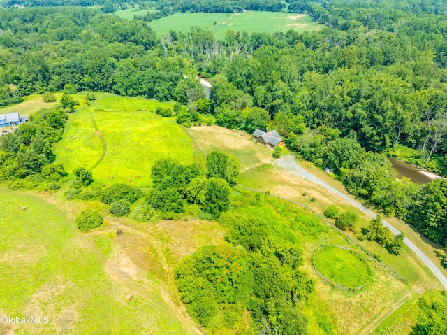 2640 State Route 203 # 50, Kinderhook, NY 12184 - photo 66