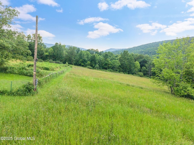 929 Brooker Hollow Rd, Richmondville, NY 12149 - photo 43