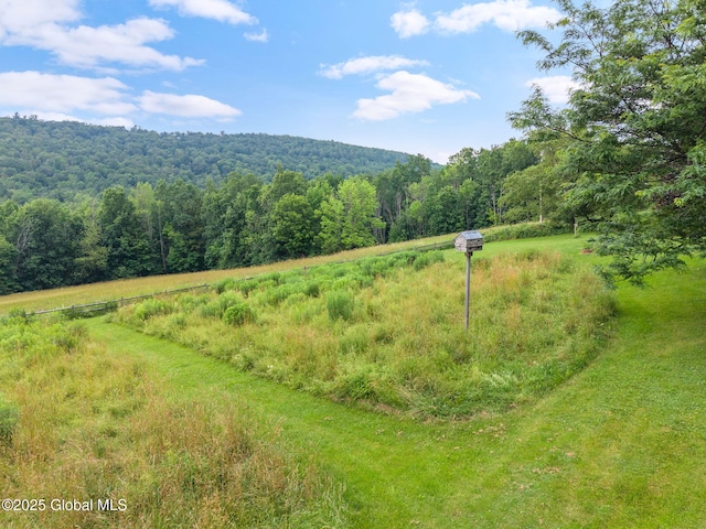 929 Brooker Hollow Rd, Richmondville, NY 12149 - photo 44