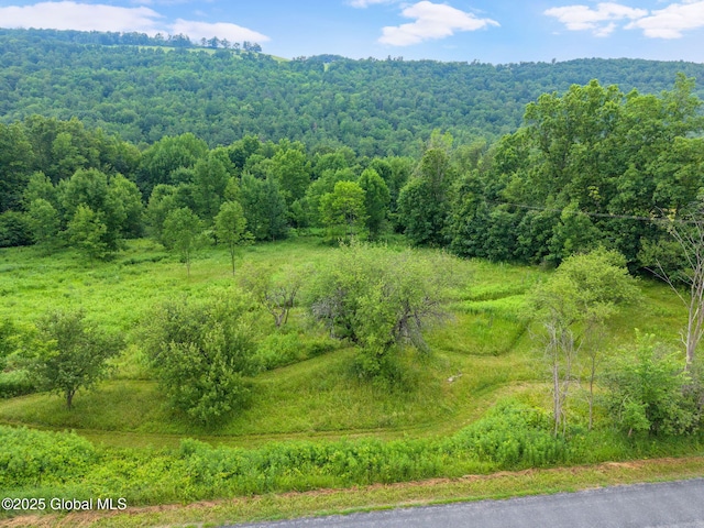 929 Brooker Hollow Rd, Richmondville, NY 12149 - photo 46