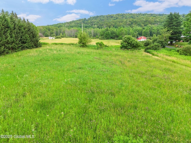 929 Brooker Hollow Rd, Richmondville, NY 12149 - photo 47