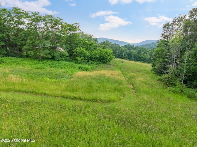 929 Brooker Hollow Rd, Richmondville, NY 12149 - photo 48
