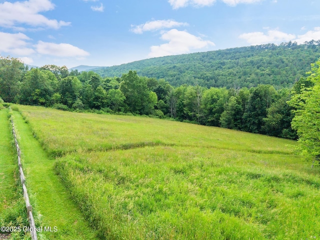 929 Brooker Hollow Rd, Richmondville, NY 12149 - photo 49
