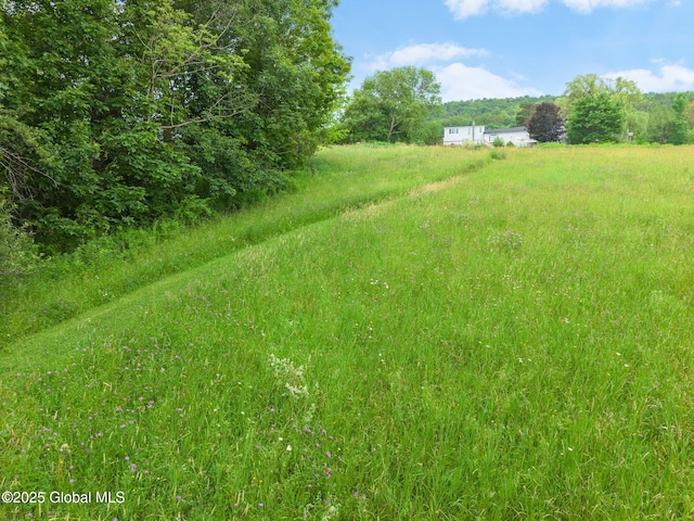 929 Brooker Hollow Rd, Richmondville, NY 12149 - photo 50