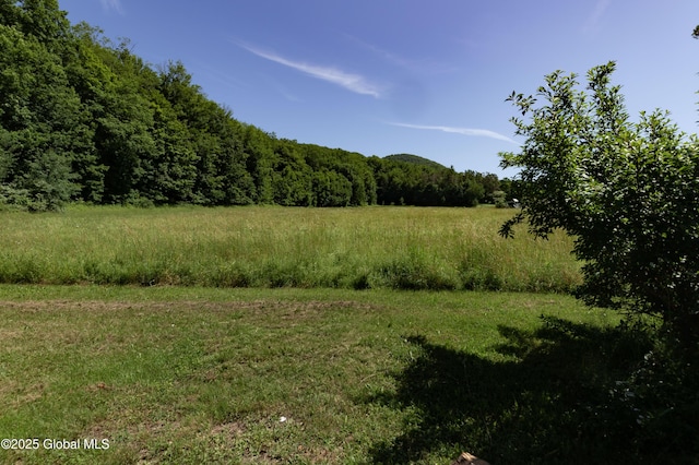 17564 State Route 22, Berlin, NY 12022 - view of tree filled area