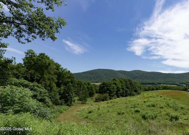 17564 State Route 22, Berlin, NY 12022 - mountain view