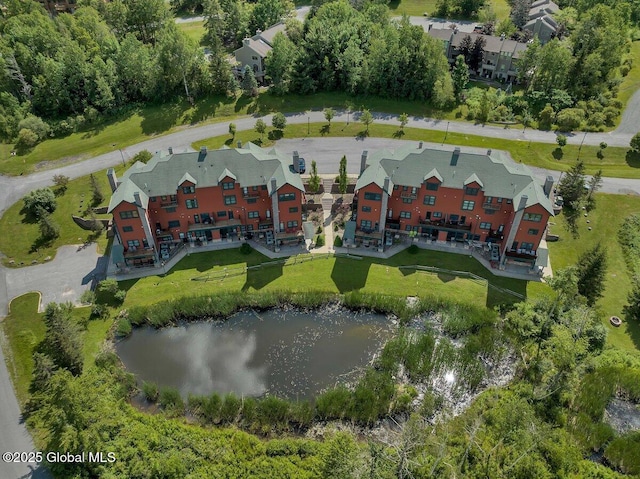 8 Trailside Dr Unit B10, Hunter, NY 12442 - bird's eye view of a nearby body of water