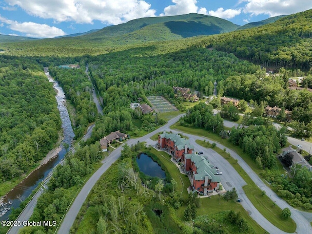 8 Trailside Dr Unit B10, Hunter, NY 12442 - view of property location with a forest and a water and mountain view