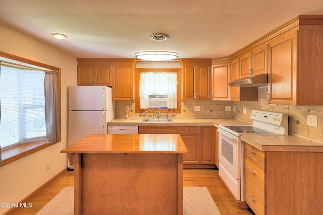 22 Schaffer Dr, Colonie, NY 12047 - photo 10