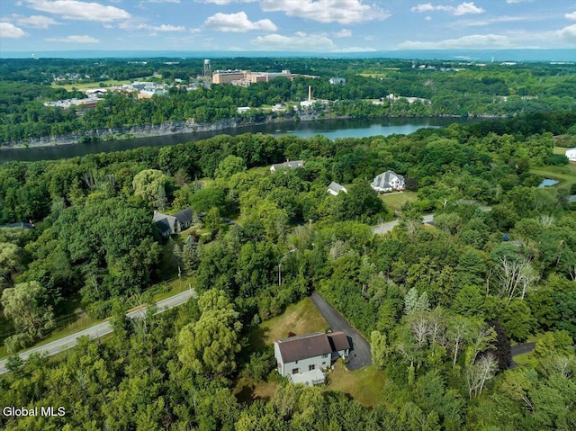 727 Riverview Rd, Rexford, NY 12148 - photo 37