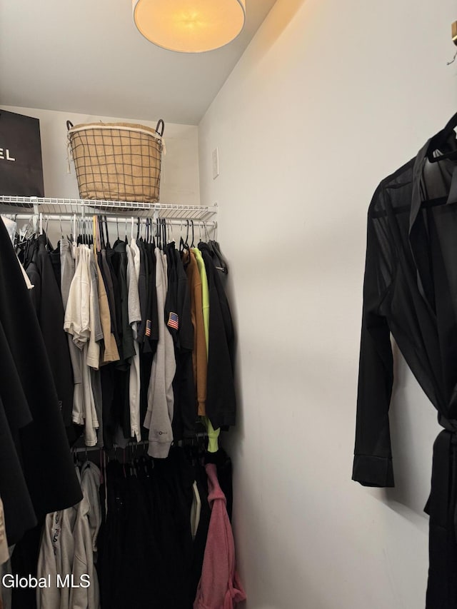 32 Winnie St, Albany, NY 12208 - view of spacious closet