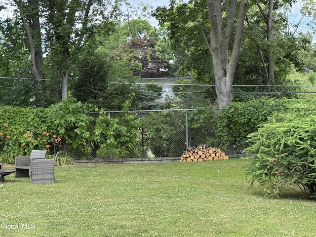 32 Winnie St, Albany, NY 12208 - view of green lawn