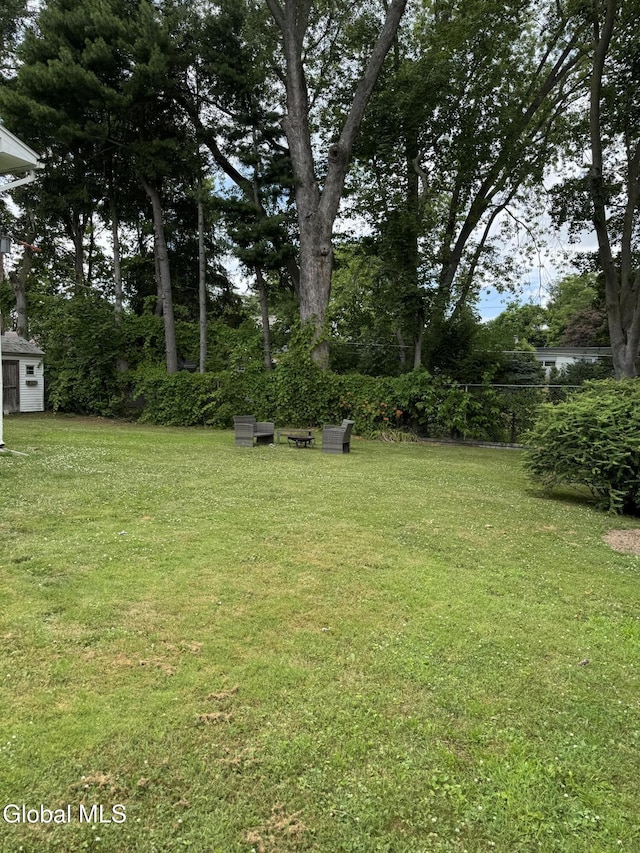 32 Winnie St, Albany, NY 12208 - view of green lawn featuring a shed