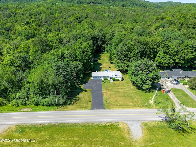 921 Altamont Voorheesville Rd, Altamont, NY 12009 - aerial view of a forest