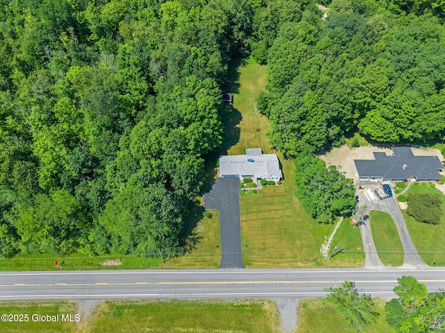 921 Altamont Voorheesville Rd, Altamont, NY 12009 - aerial view of property and surrounding area with a forest