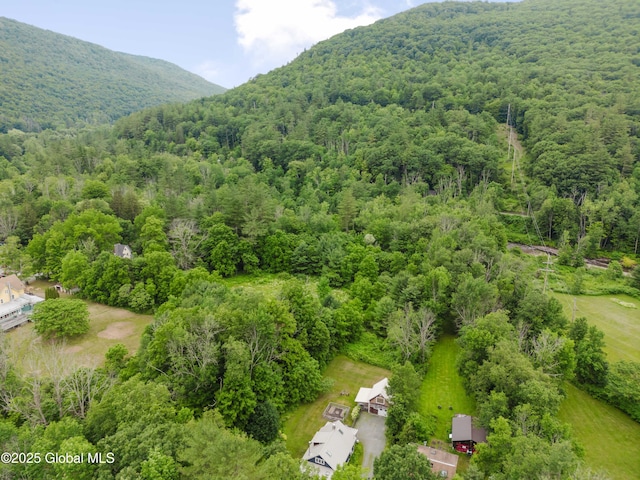 15 Maben Rd, Shandaken, NY 12480 - photo 6