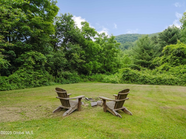 15 Maben Rd, Shandaken, NY 12480 - photo 56