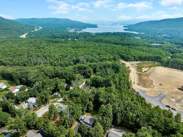 57 Morgan Ct, Lake George, NY 12845 - photo 35