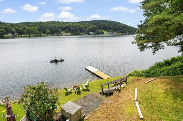 2235 Oaks Rd, Argyle, NY 12809 - dock featuring a water view and a wooded view