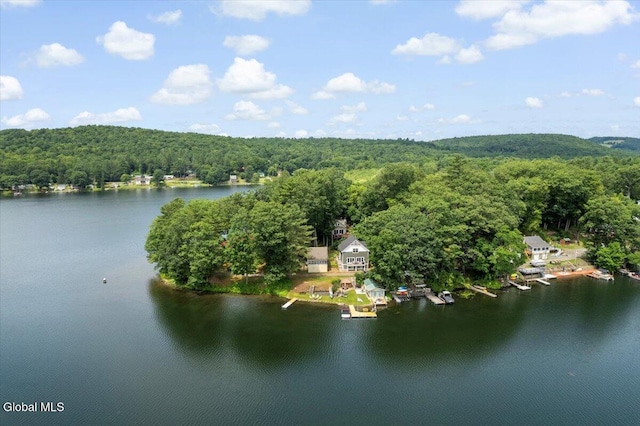 2235 Oaks Rd, Argyle, NY 12809 - view from above of property featuring a heavily wooded area and a large body of water