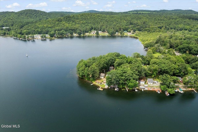 2235 Oaks Rd, Argyle, NY 12809 - aerial view of a heavily wooded area and a large body of water