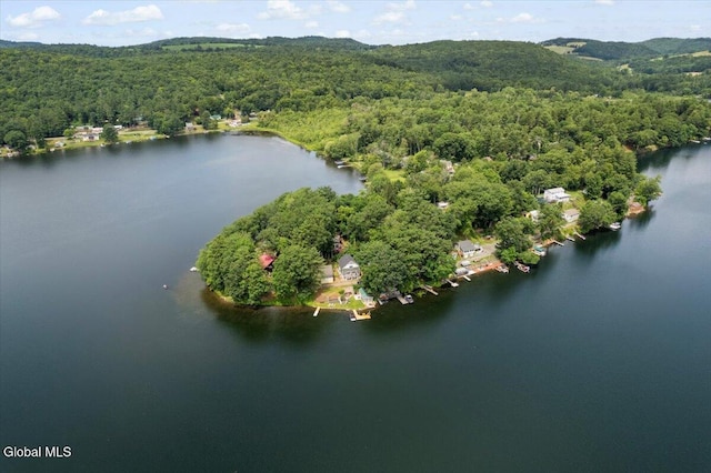 2235 Oaks Rd, Argyle, NY 12809 - bird's eye view of a forest and a large body of water