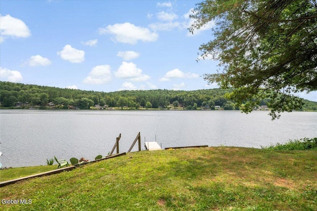 2235 Oaks Rd, Argyle, NY 12809 - water view featuring a forest and a boat dock